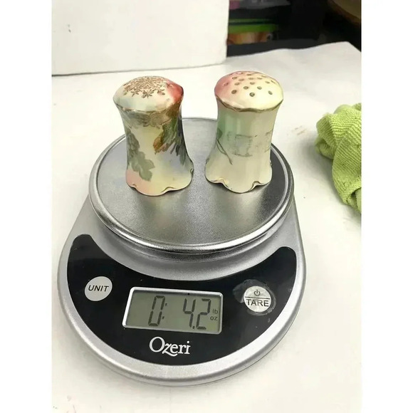 VTG Rosenthal Madeleine Bavarian Porcelain Salt and Pepper Shakers Roses Grapes - Picture 7 of 11